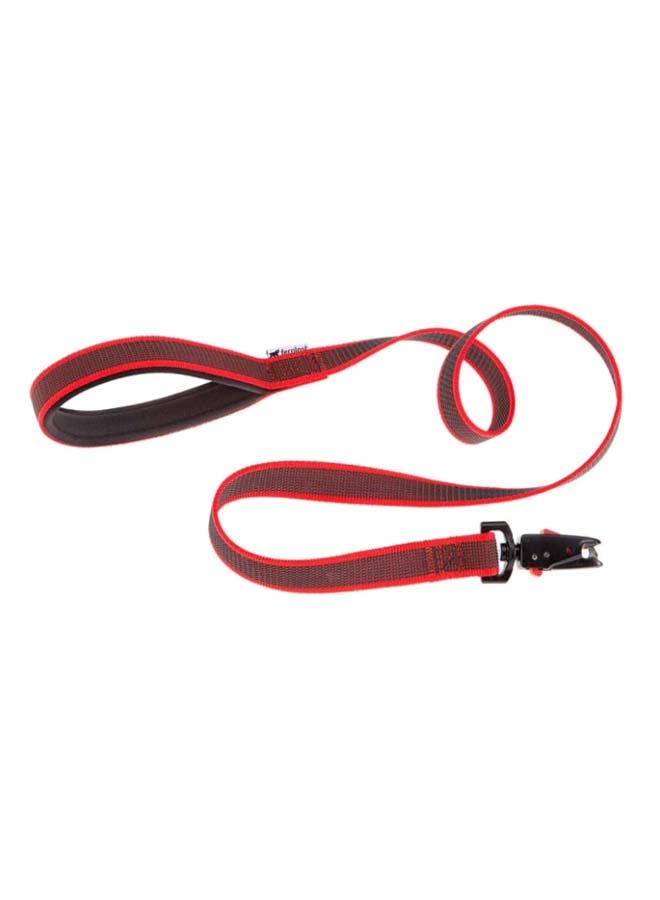 Daytona Gummy Matic G Dog Lead Complete With Automatic Carabiner Multicolour