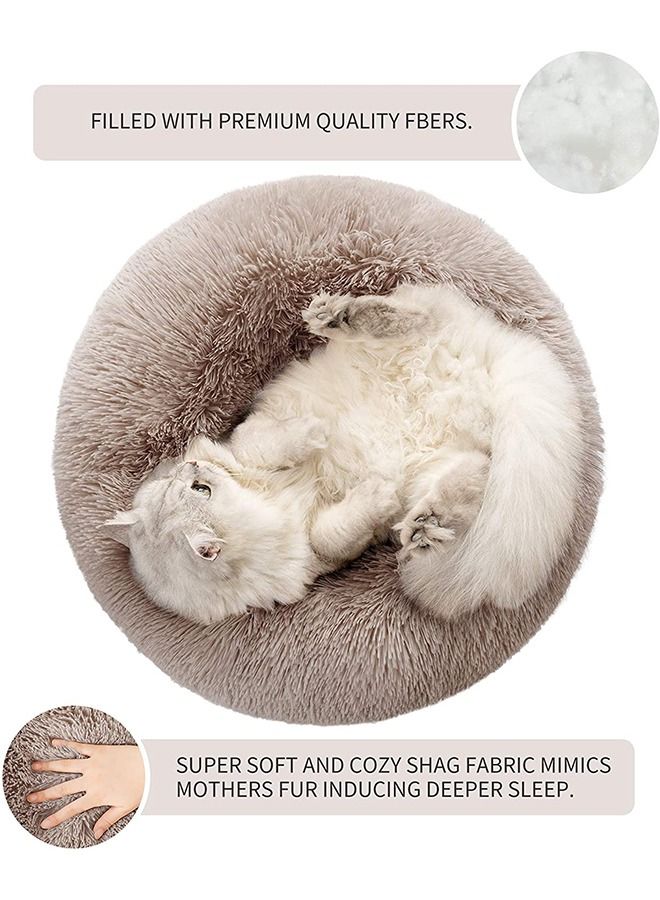 1 Piece Machine Washable Bed for Indoor Pets