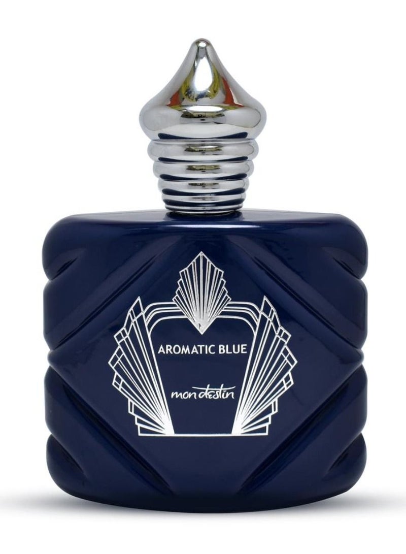 Mon Destin Aromatic Blue EDP Inspired by Chanel Bleu For Men Eau De Parfum 100ml