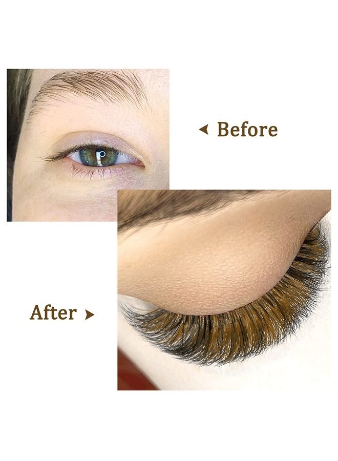 Easy Fan Volume Lashes .07 D Curl Brown Volume Lash Extensions 9-16mm Mixed Lash Tray Color Lashes Extension Self Fanning 2D-10D Volume Eyelash Extensions by QUEWEL (Brown 0.07 D 9-16mm)