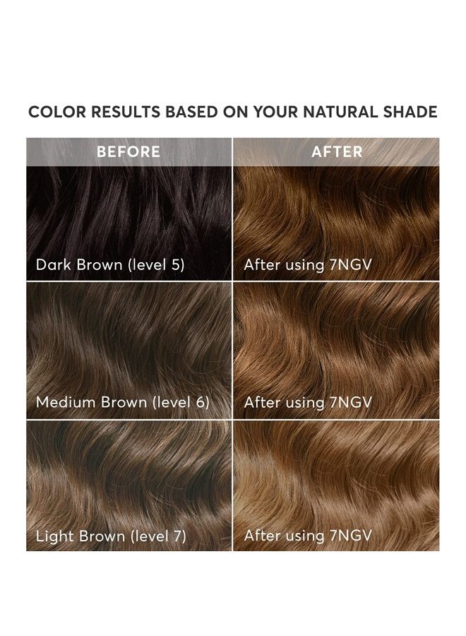 Radiant Hair Color Kit, Permanent Hair Dye, 100% Gray Coverage, Ammonia-Free, Lucca Light Brown 7NGV Light Golden Brown, Pack of 1