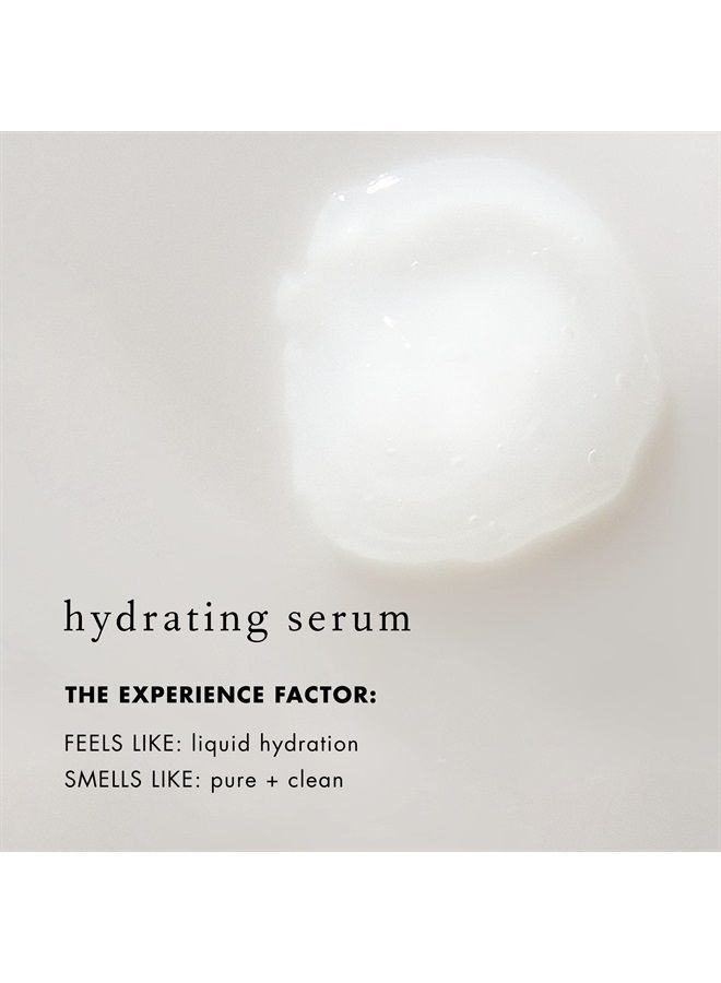 Moisture x10-1 fl oz - Super-Hydrating Hyaluronic Acid Facial Serum - For Dry & Combination Skin Types - Vegan, Gluten Free - Never Tested on Animals