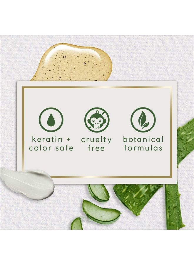 Amber Rose Hydrating Shampoo- Refresh & Hydrate, Irresistible Scent of Rose, Jasmine & Amber, Suited for All Hair Types-Color & Keratin Treated Hair, 400ML