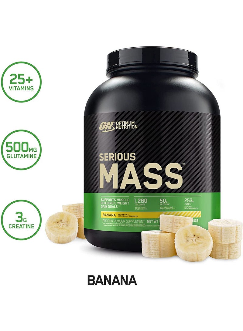High Protein Muscle Building & Weight Gainer Protein Powder, 50 Grams Of Protein, Vitamin C, Zinc For Immune Support - Banana, 6 Lbs (2.72 Kg)