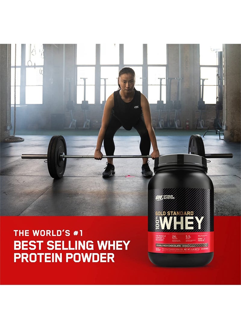 Gold Standard 100% Whey Protein Powder Primary Source Isolate, 24 Grams of Protein for Muscle Support and Recovery - Double Rich Chocolate, 2 Lbs, 29 Servings (907 Grams)