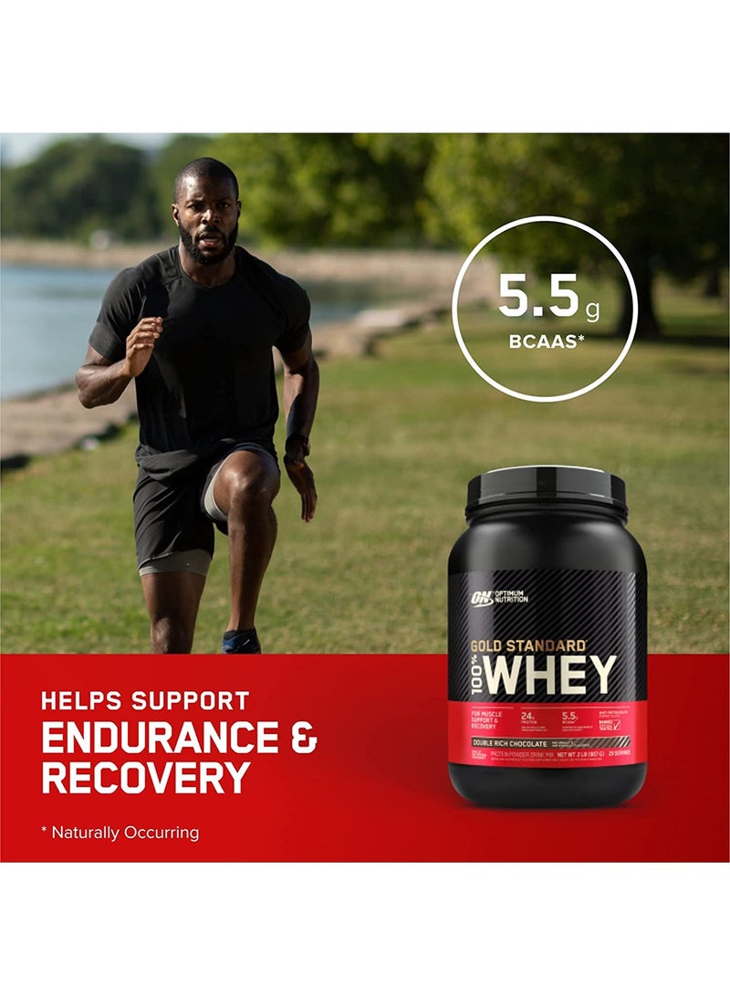 Gold Standard 100% Whey Protein Powder Primary Source Isolate, 24 Grams of Protein for Muscle Support and Recovery - Extreme Milk Chocolate, 2 Lbs, 28 Servings (907 Grams)