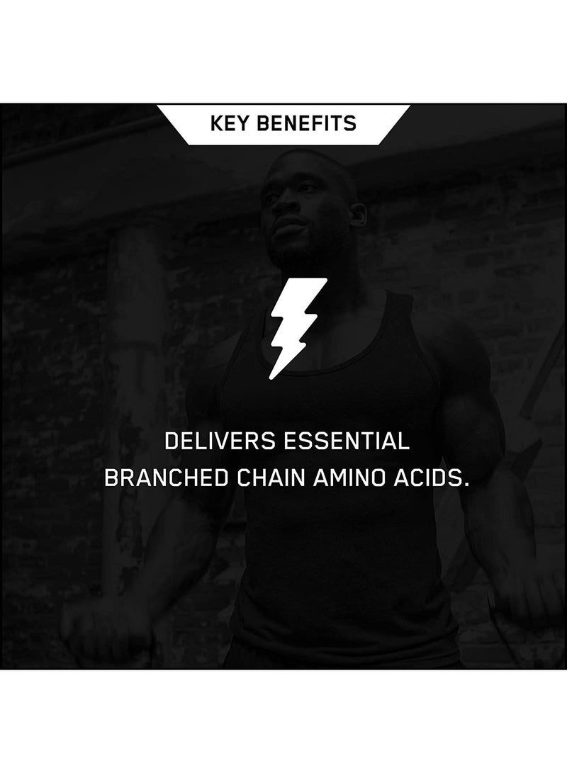 Instantized BCAA Powder, Unflavored,  Branched Chain Essential Amino Acids Powder, 345 Grams, 60 Servings