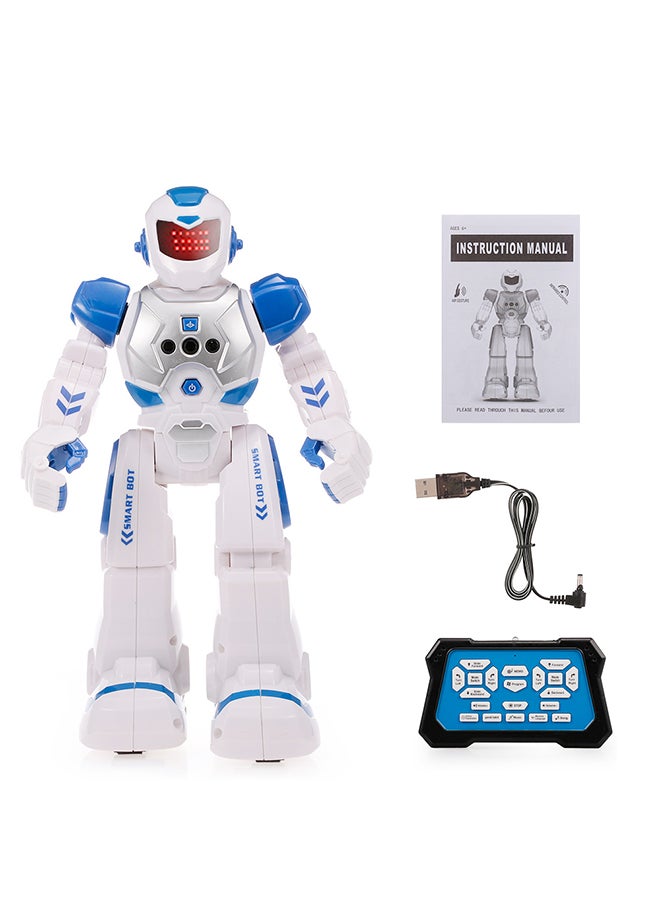 RC Educational Robot Toy 30x9.5x20cm