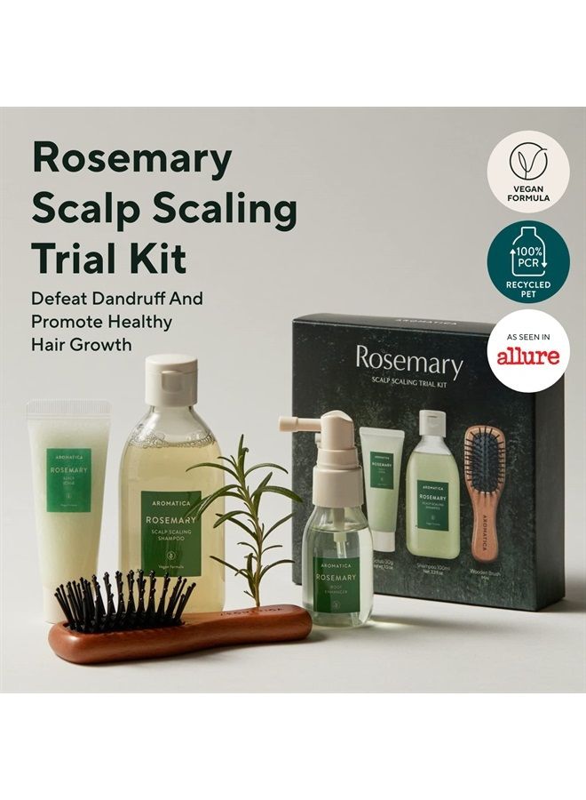 Rosemary Scalp Scaling Trial Kit - Gift Set - Mini Wooden Hair Brush - [Shampoo 3.38 fl. oz. / Root Enhancer 1.01 fl. oz. / Scalp Scrub 1.01 fl. oz.] - For Clearer and Dandruff Free Hair - P