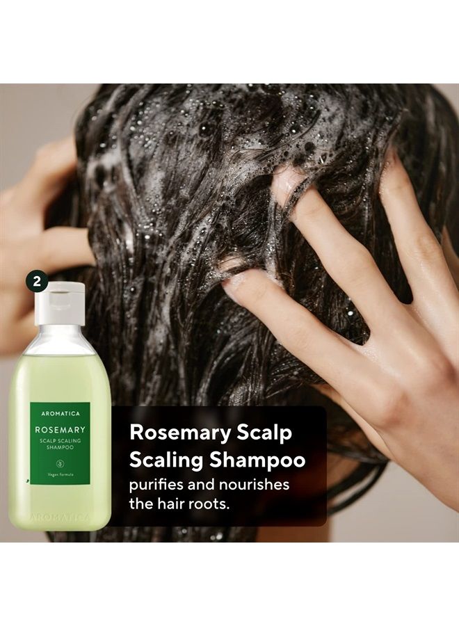 Rosemary Scalp Scaling Trial Kit - Gift Set - Mini Wooden Hair Brush - [Shampoo 3.38 fl. oz. / Root Enhancer 1.01 fl. oz. / Scalp Scrub 1.01 fl. oz.] - For Clearer and Dandruff Free Hair - P