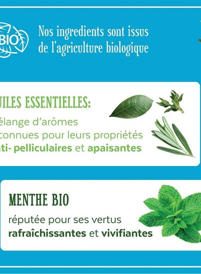 SHAMPOO ANTI DANDRUFF MINT ESSENTIAL OIL