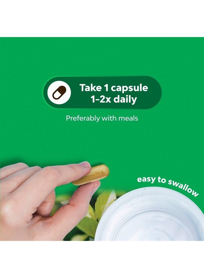 Green Tea Extract Capsules - Pure Extract - Weight Loss Pills - Burn Belly Fat - Metabolism Booster - Lose Weight Fast - for Men and Women Natural Detox Cleanse