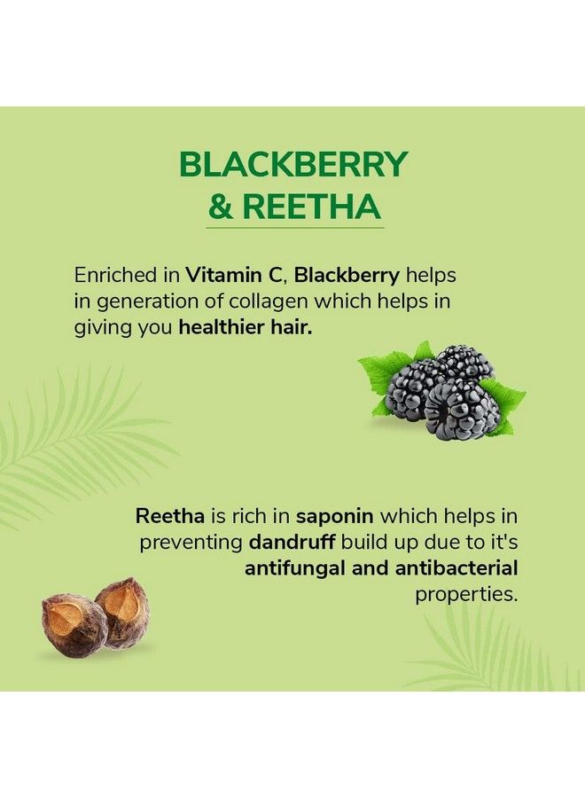 Naturals Volume Enhance Shampoo With Blackberry Reetha And Amla Gentle & Soft Shampoo Ph Balance And Paraben Free 1L