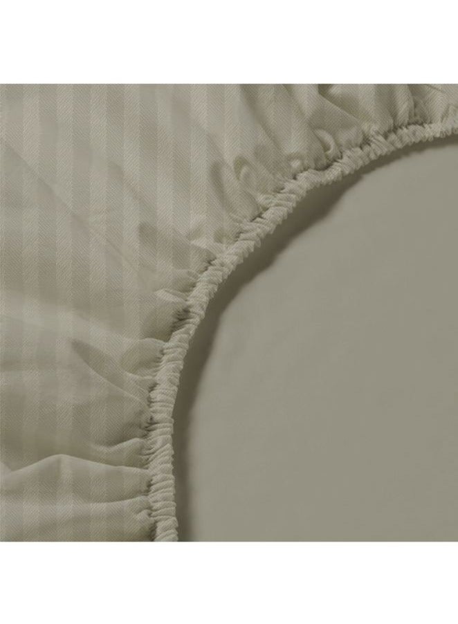 Tulip (Sand) Single Size Fitted Sheet (90 x 210 + 30 Cm-Set of 1 Pc) 100% Cotton, Soft and Luxurious Hotel Quality Bed linen-300 TC