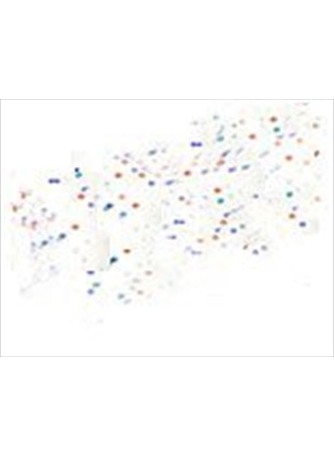 Perfect Lashes Multi-vitamin Transparent Mascara