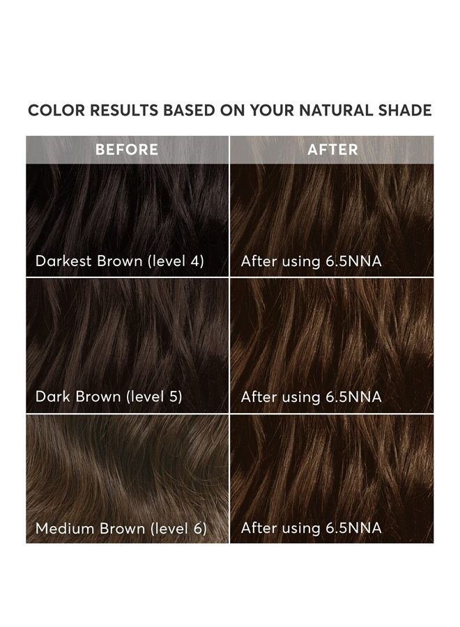 Radiant Hair Color Kit, Soft Medium Neutral Brown for 100% Coverage of Resistant Gray Hair, Ammonia-Free, 6.5NNA Sondrio Brown, Permanent Hair Dye, Pack of 1