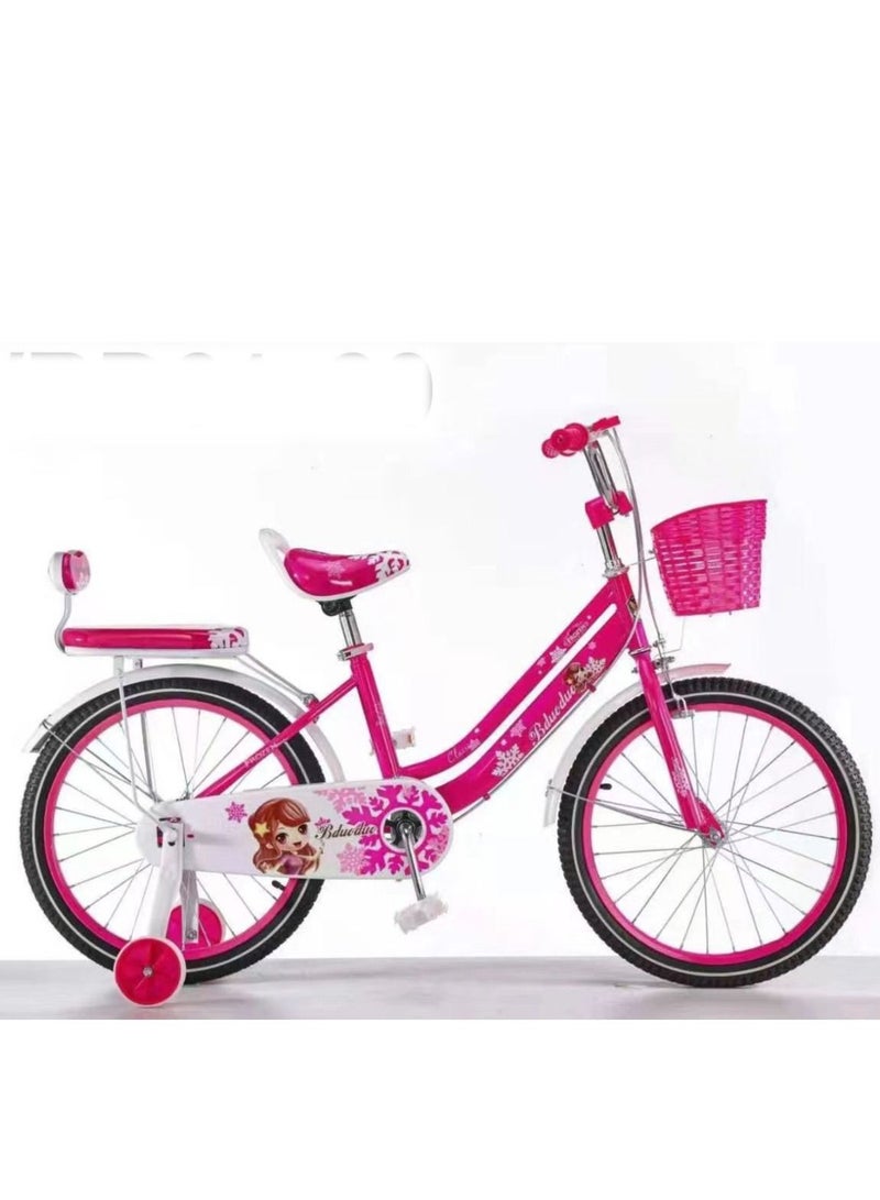 Girl Bicycle 20 Inch