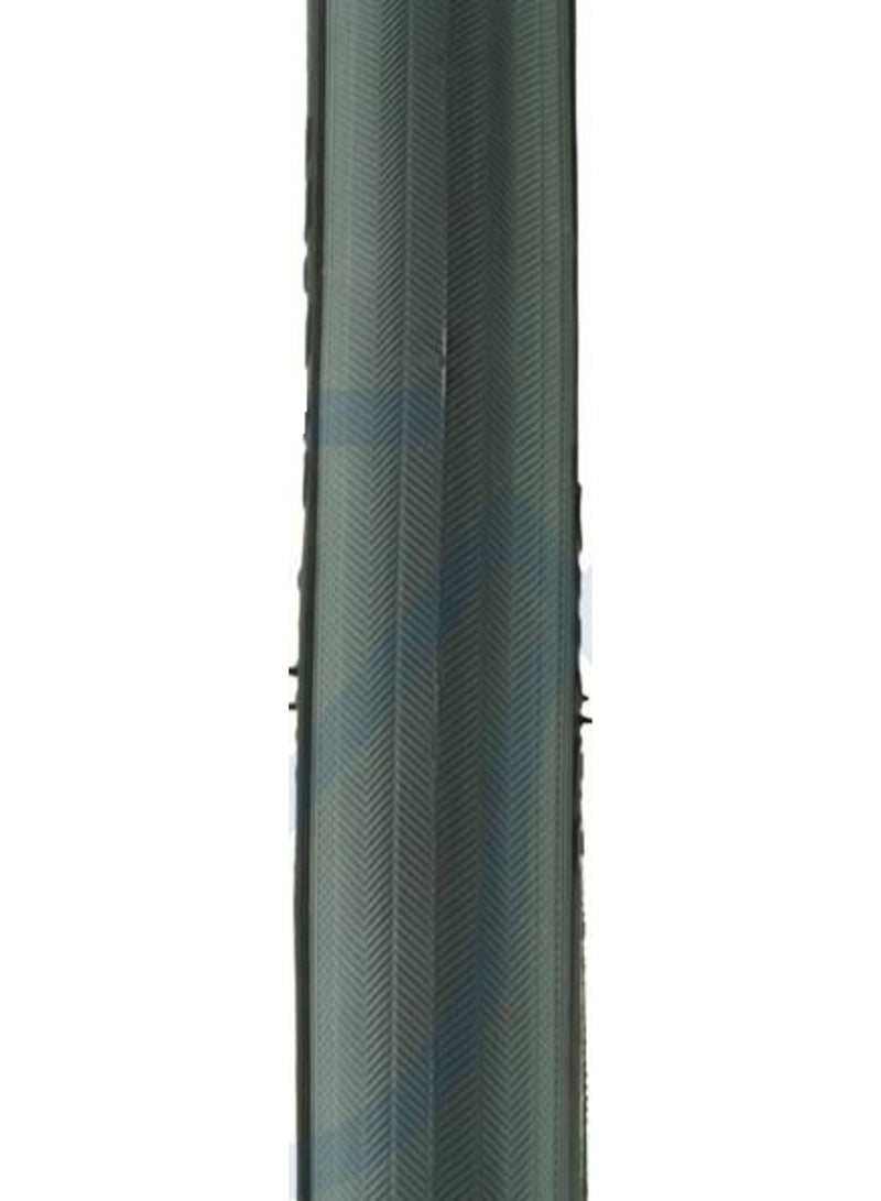 CST 24
