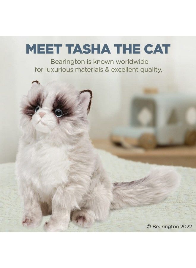 Bearington Tasha Plus Himalayan Cat Kitten 10.5 Inch