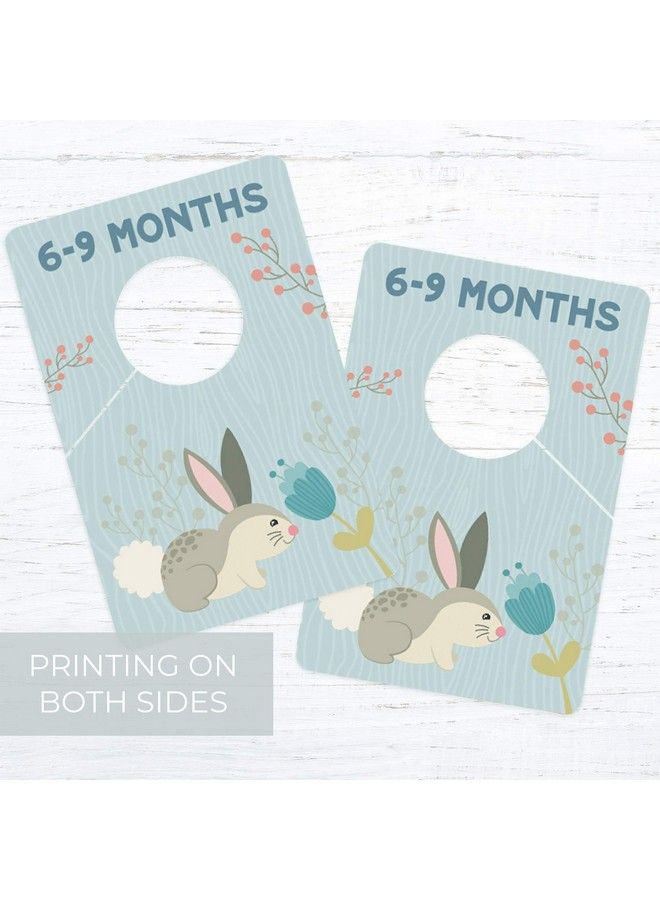 Woodland Closet Clothing Size Dividers / 4