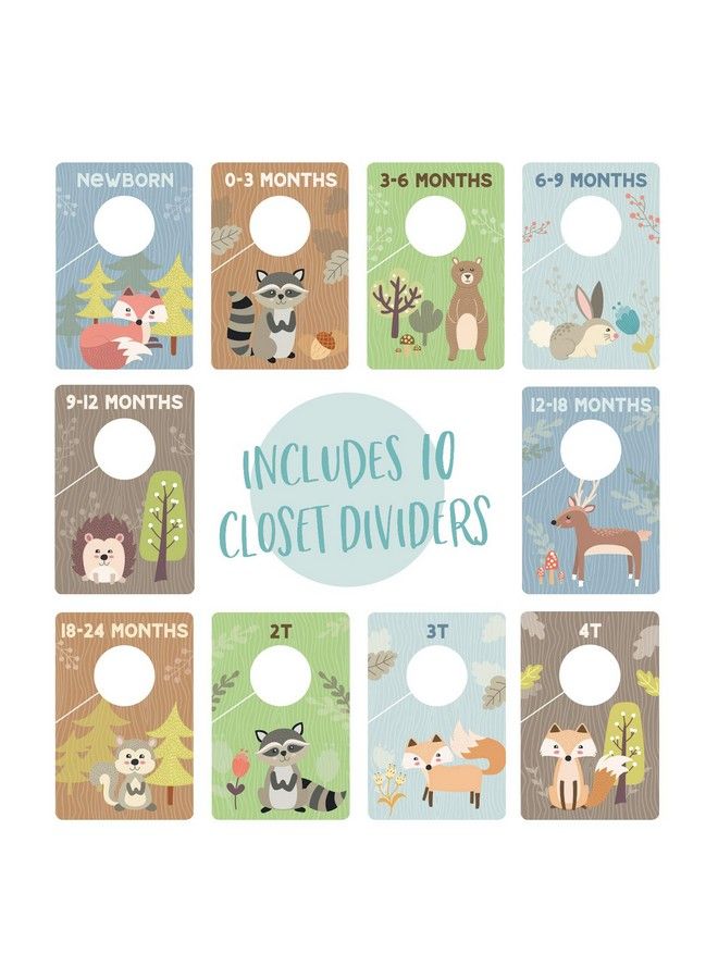 Woodland Closet Clothing Size Dividers / 4