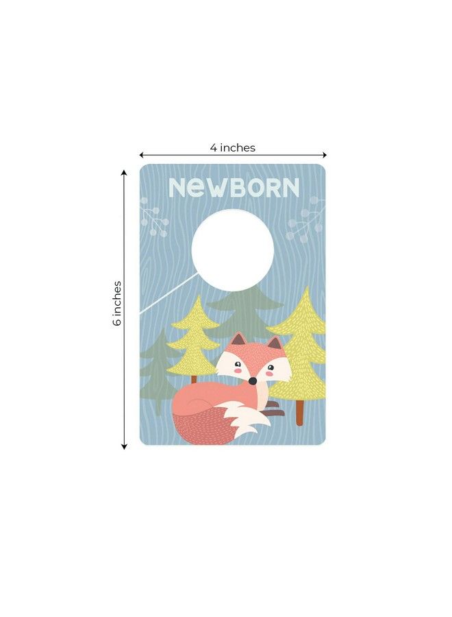 Woodland Closet Clothing Size Dividers / 4