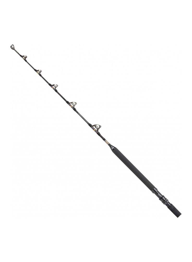 Shimano Tyrnos 30LB A Stand Up Roller
