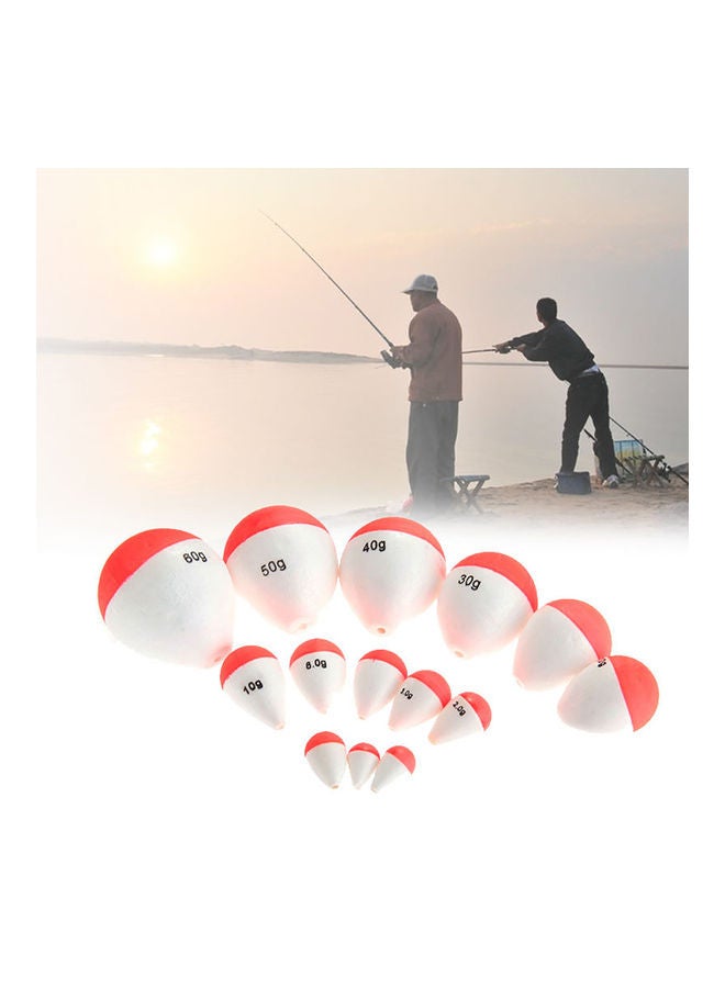 10 Piece Professional 2g-60g Fishing-Floats With Sticks 20 x 10 x 20cm