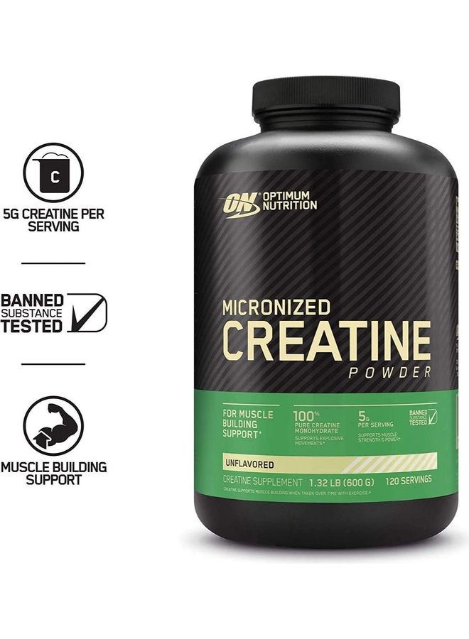 Micronized Creatine Monohydrate Powder - Unflavored