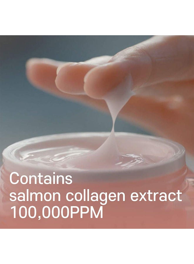 Wrinkle Bounce Core Cream