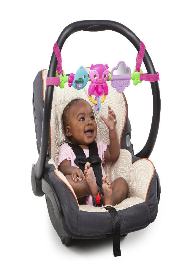 Bright Starts Busy Birdies Carrier Toy Bar Musical Take-Along Toy with Lights, Ages Newborn +, Pink