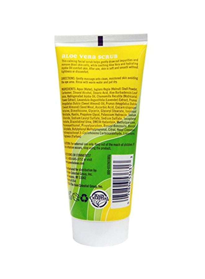 2-Piece Aloe Vera Scrub
