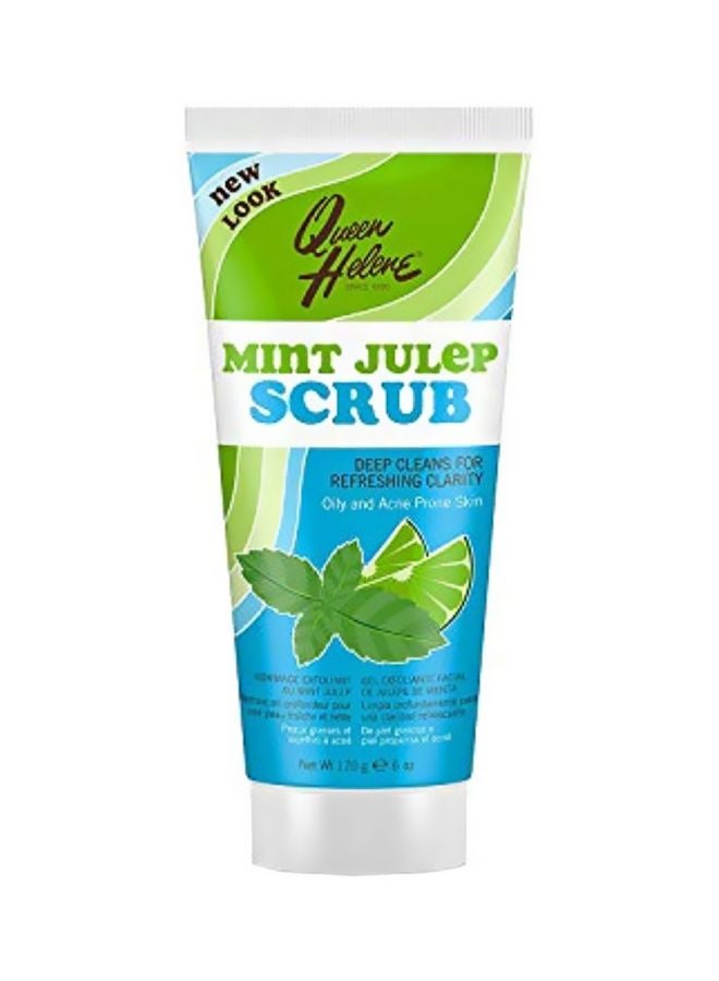 Pack Of 3 Mint Julep Scrub 170grams