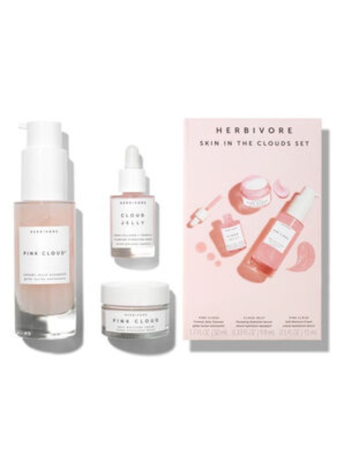 Skin in the Cloud Starter Set
