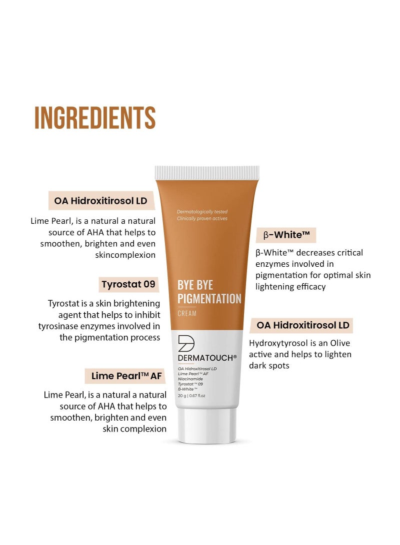 Bye Bye Pigmentation Cream 20G