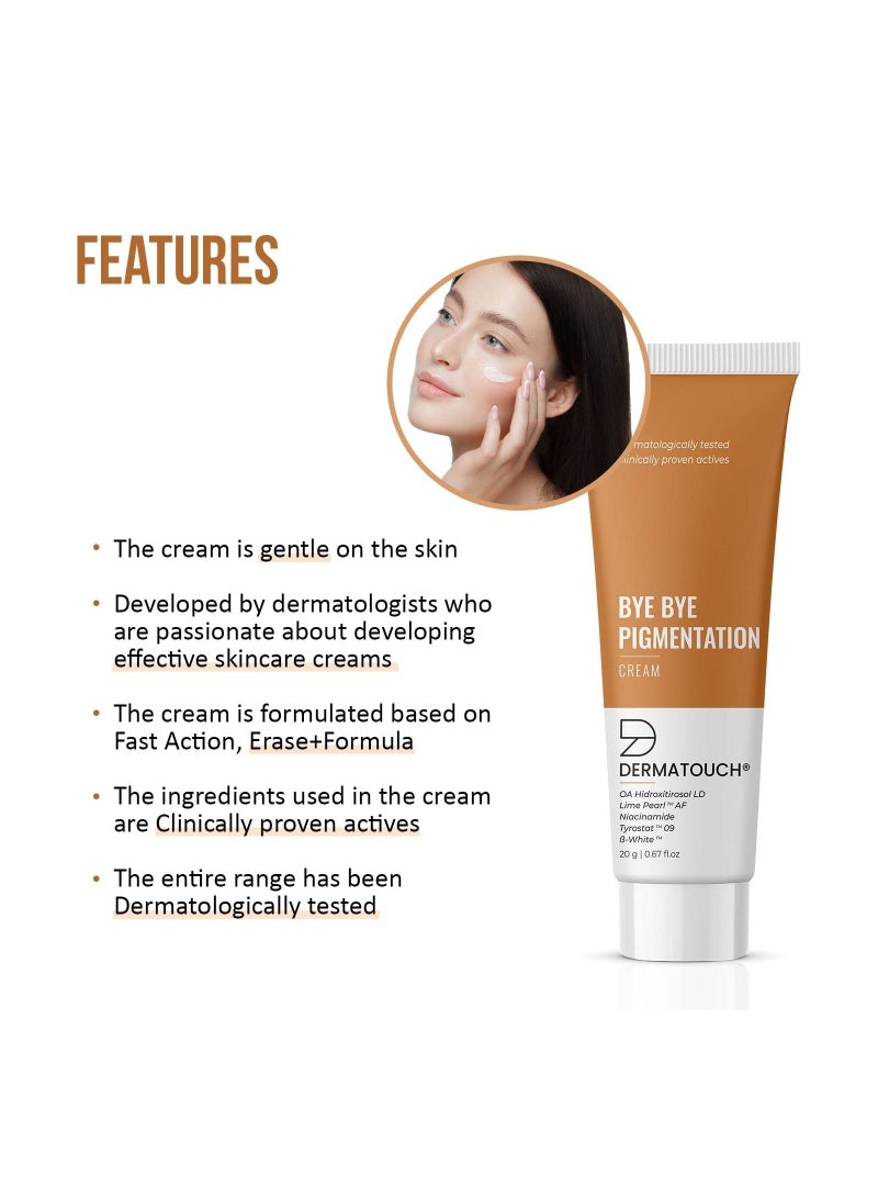 Bye Bye Pigmentation Cream 20G
