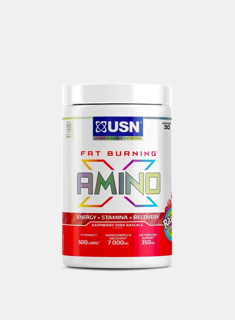 Fat Burning  Amino X Rasberry Soda Rascal 30 Servings