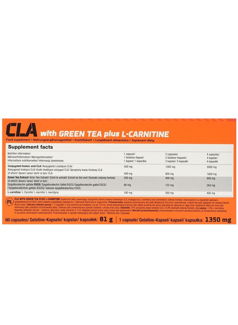 CLA & GREEN TEA L-CARNITINE - 60 CAPS