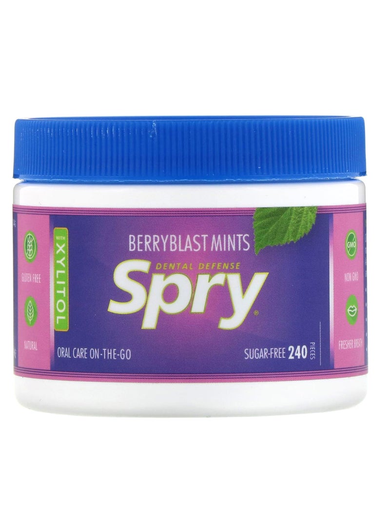 240-Piece Berry Blast Mint Flavour Spry Gum Set 144grams