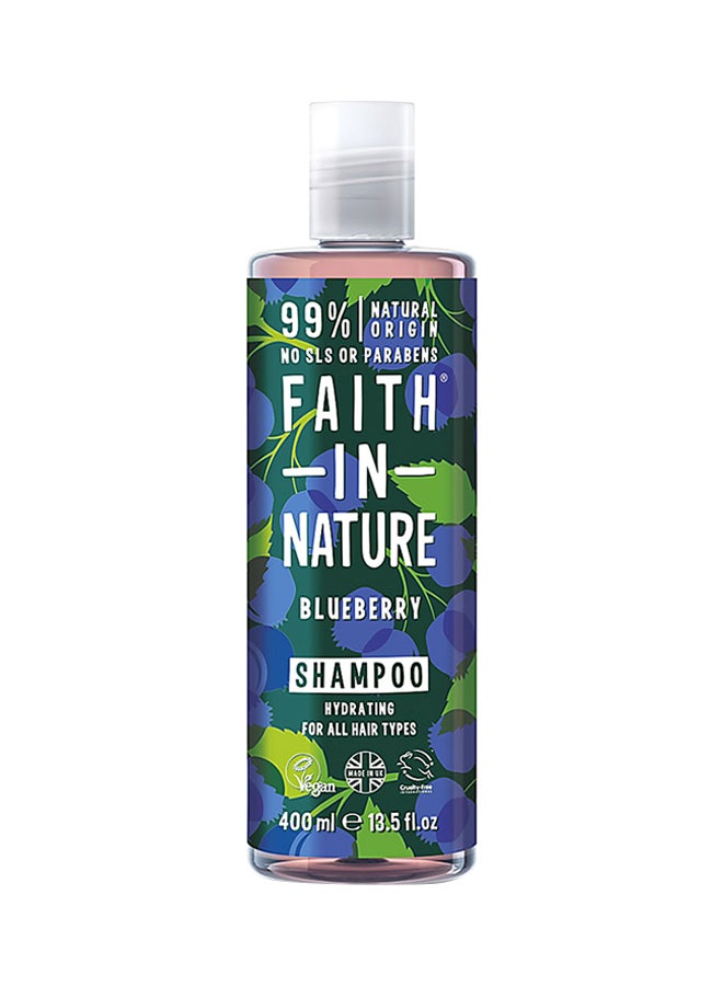 Shampoo Blueberry 400ml