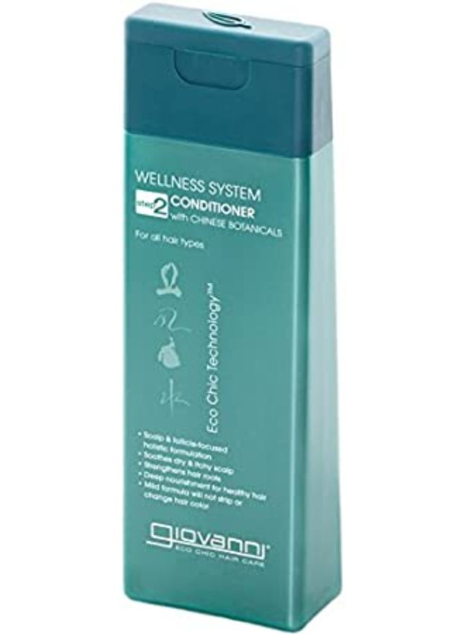 Wellness System Conditioner 1000ml