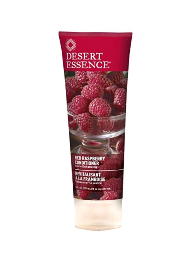 Red Raspberry Conditioner