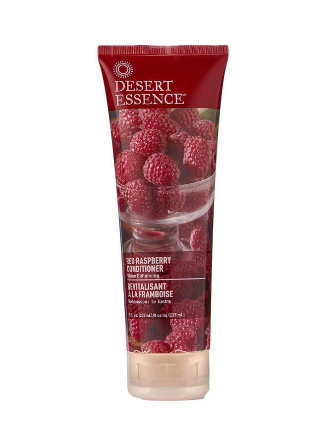 Red Raspberry Conditioner