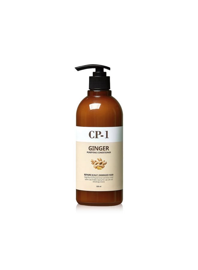 Ginger Purifying Conditioner 500ml