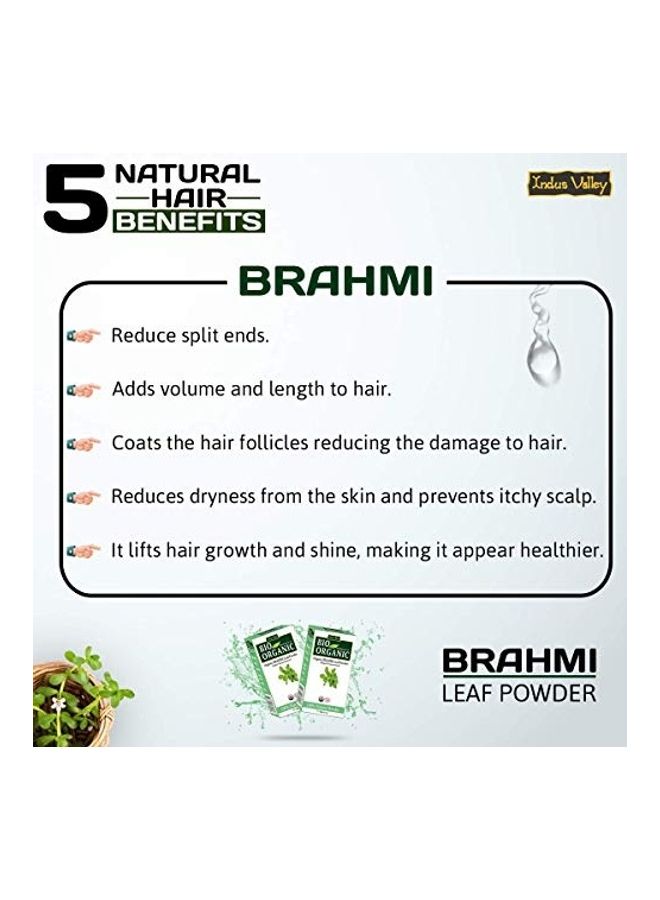 2-Piece Bio Organic Natural Brahmi And Bhringraj Powder Multicolour 200grams