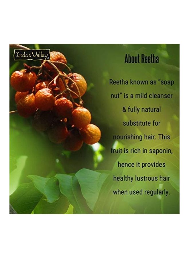 Bio Organic Reetha Fruit Powder Combo Pack Brown 2 x 100grams