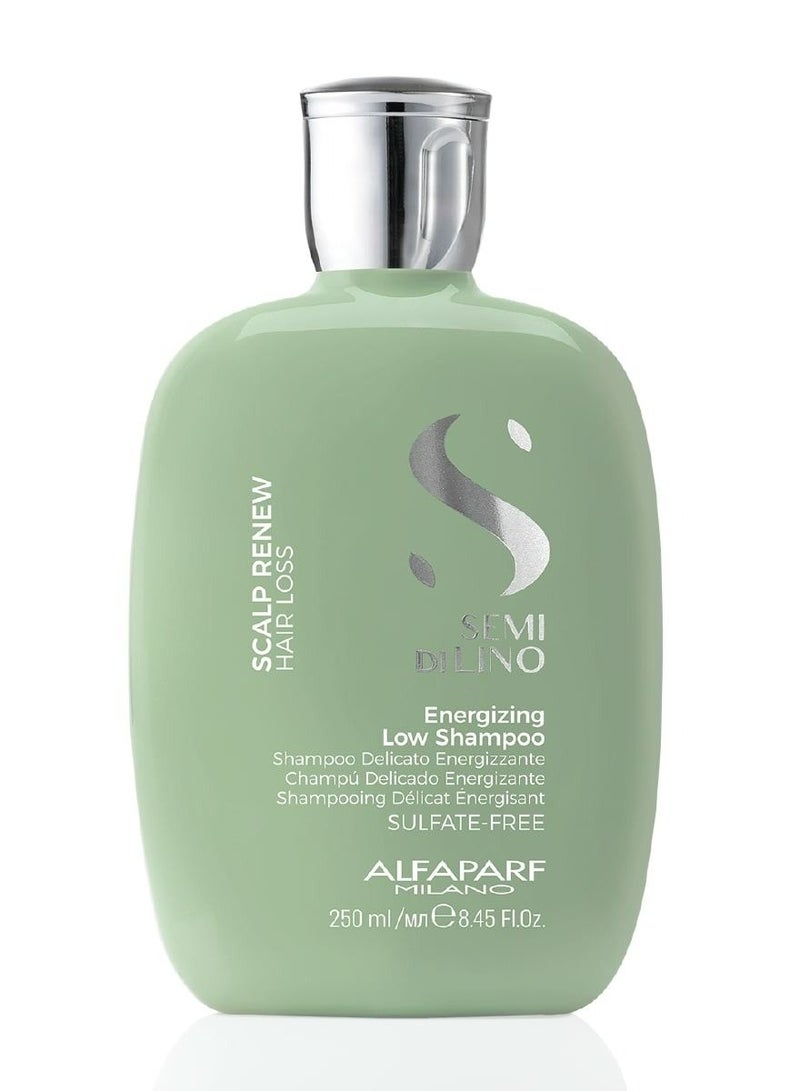 Semi di lino sulfate-free energizing shampoo for hair loss 250ml