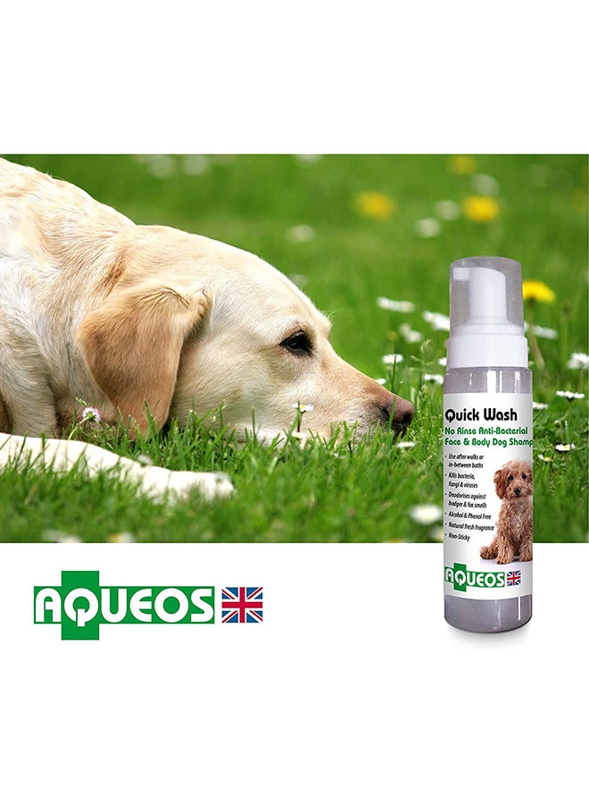 Quick Wash No Rinse Anti Bacterial Dog Shampoo Multicolour 200ml