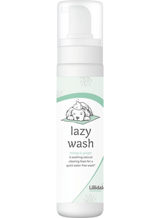 Lazy Wash (No Rinse) - 200ml
