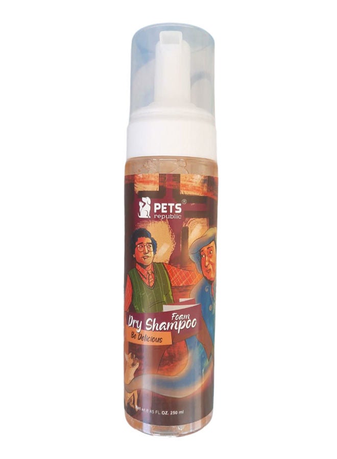 Foam Dry Shampoo Be Delicious Multicolour 250ml